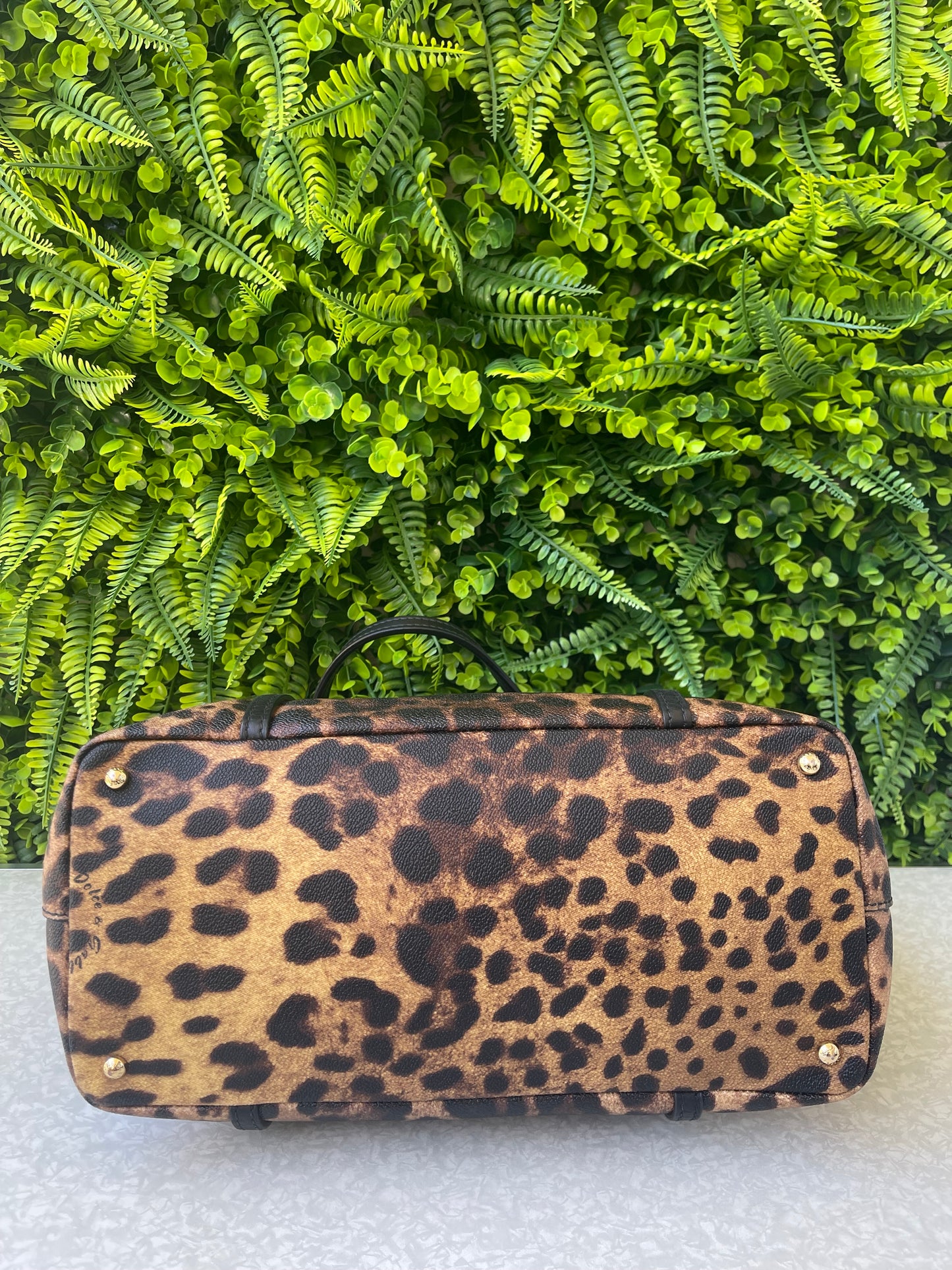 Dolce & Gabbana Miss Escape Leopard