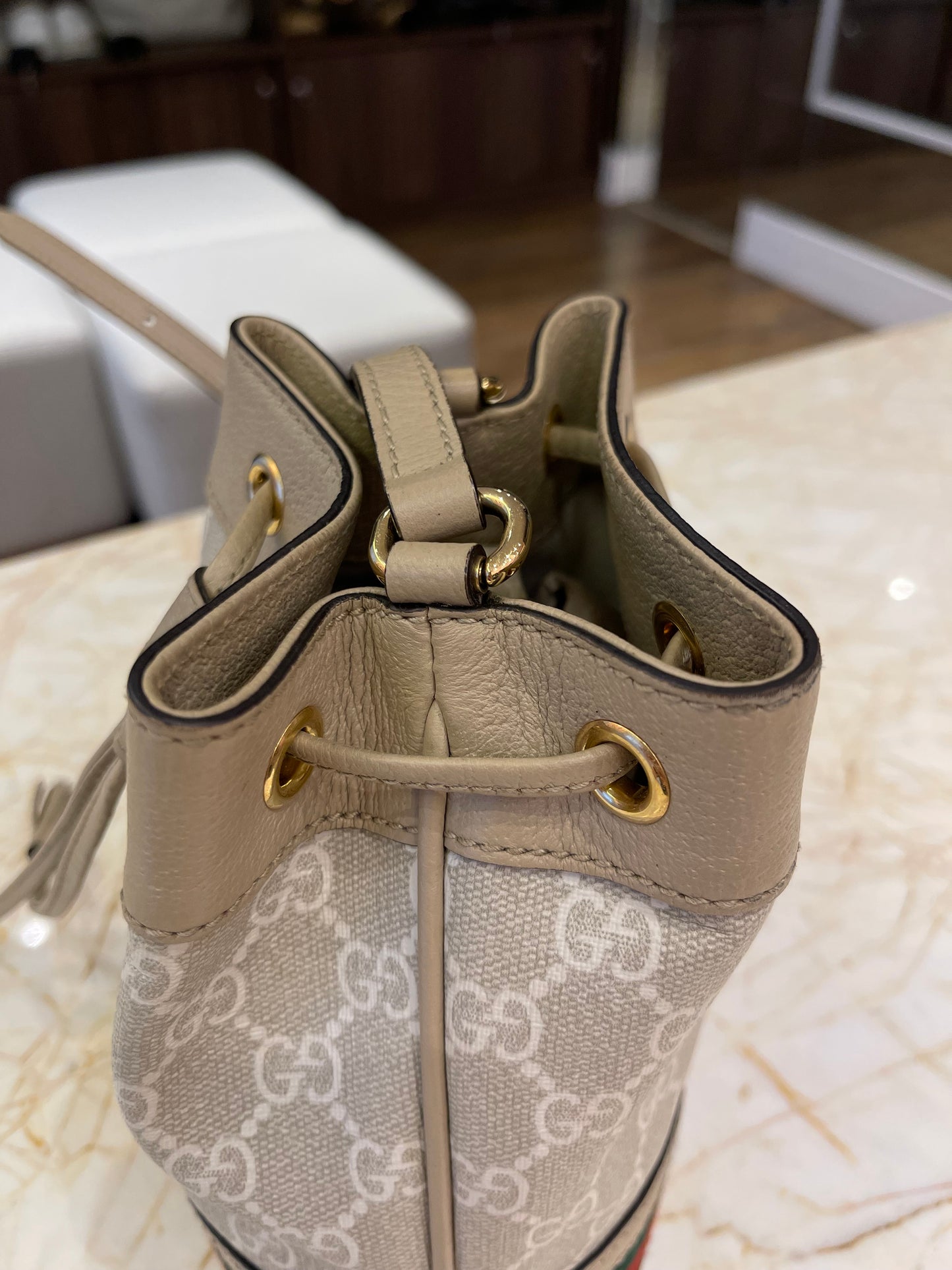 Gucci Ophidia Mini Bucket Monograma