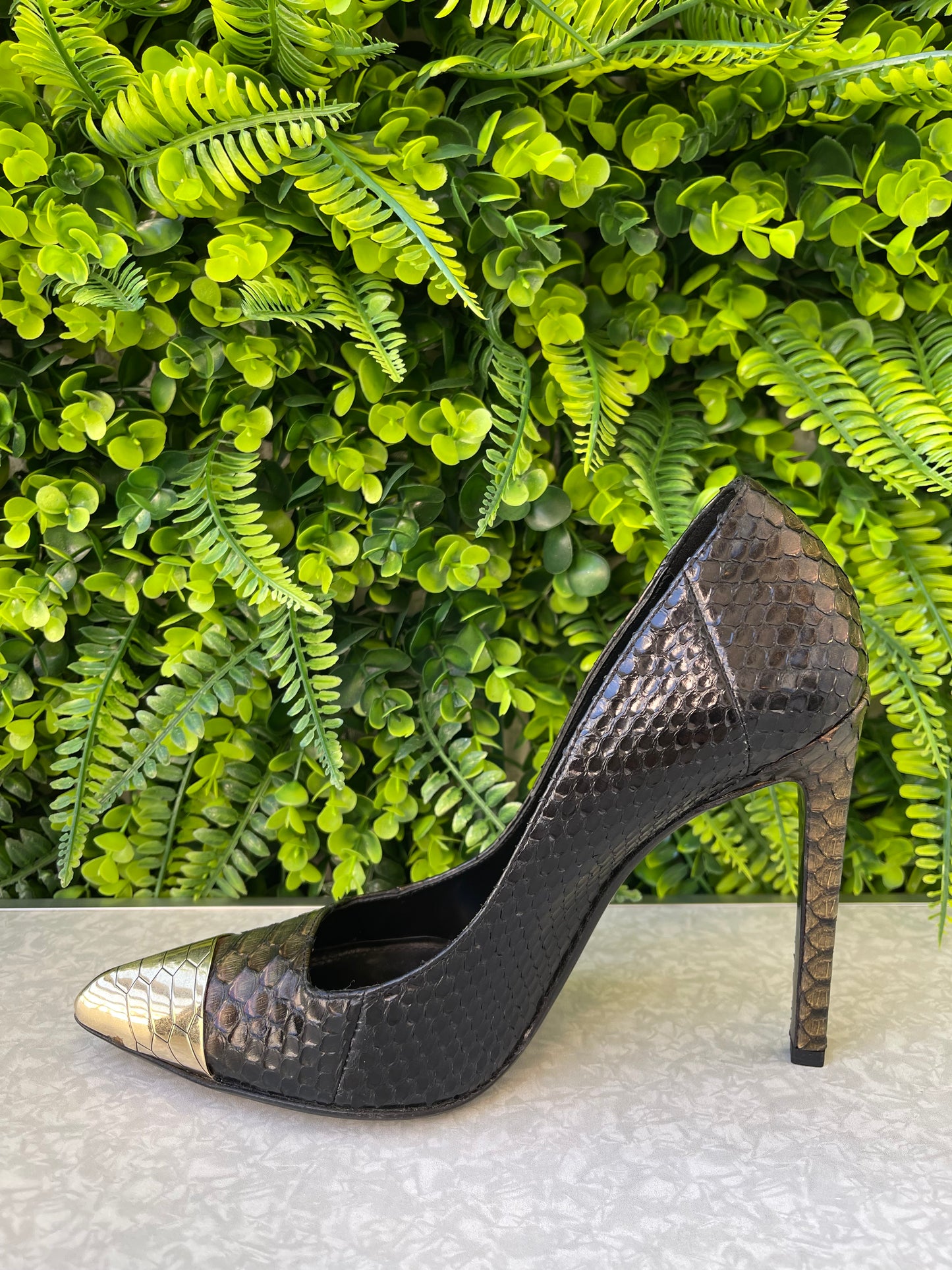 Sapato Scarpin Roberto Cavalli