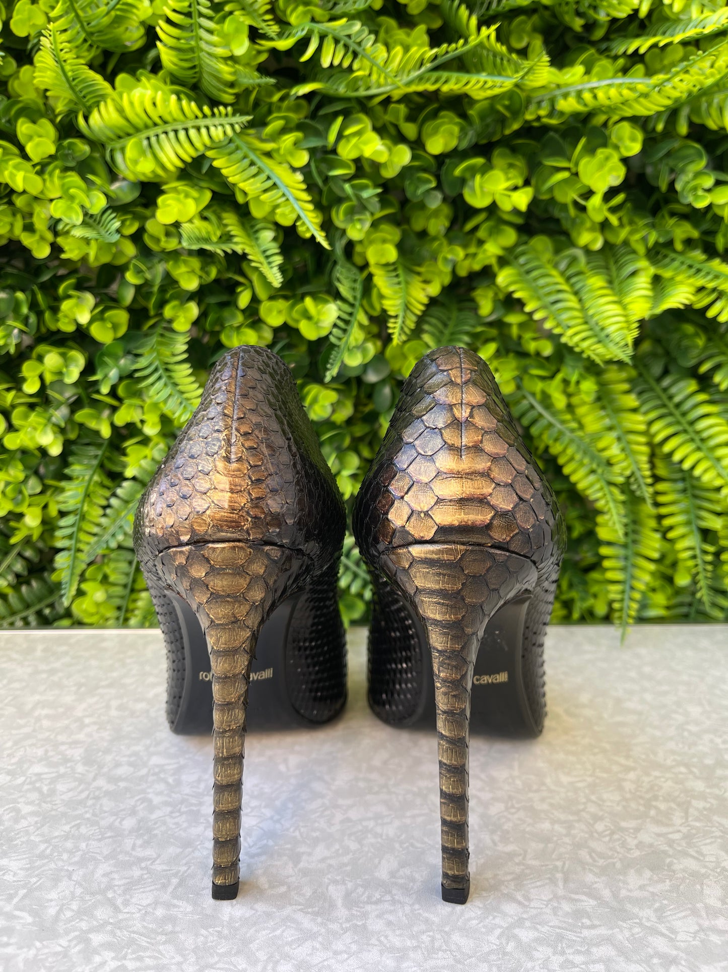 Sapato Scarpin Roberto Cavalli