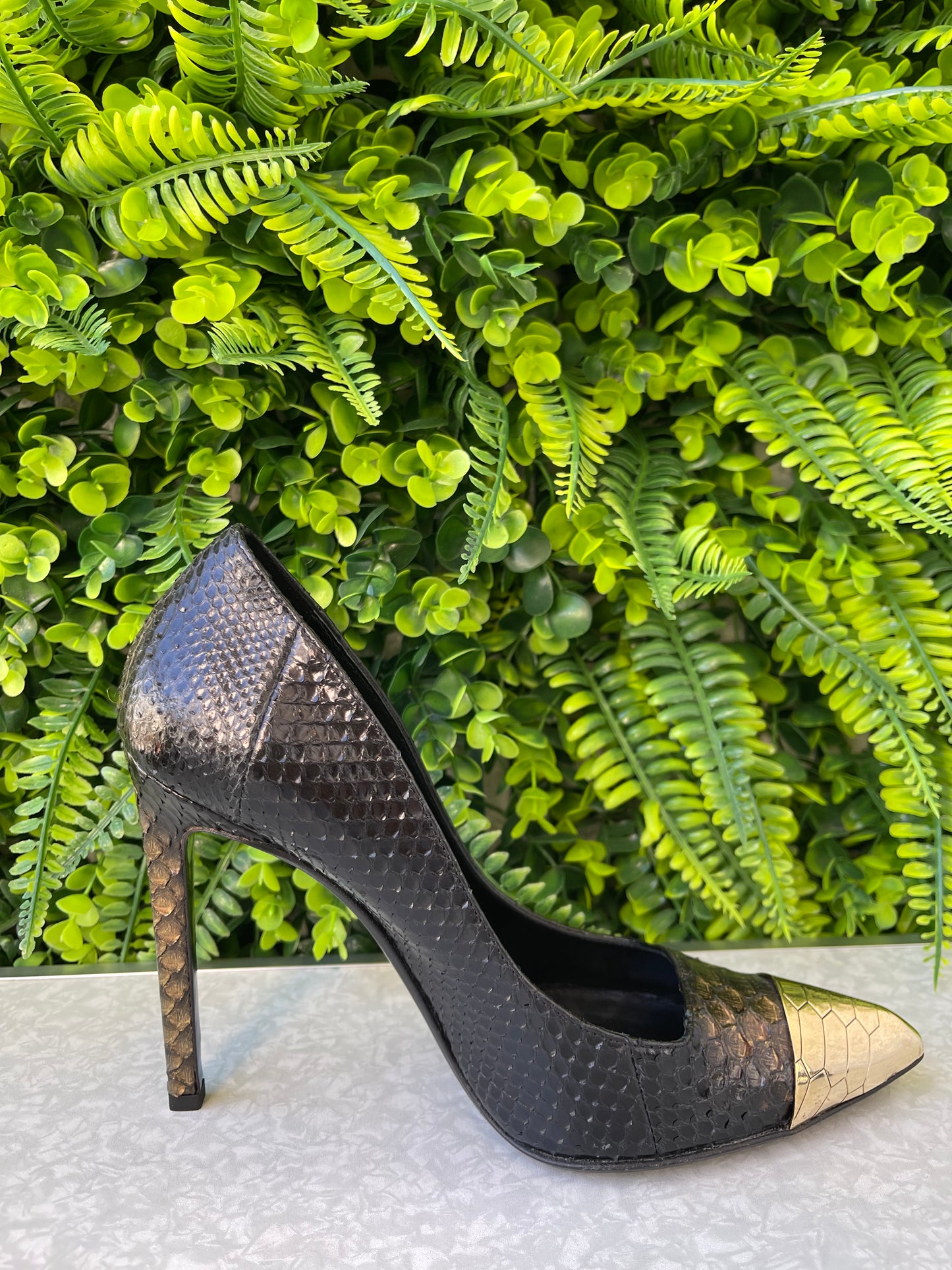 Sapato Scarpin Roberto Cavalli