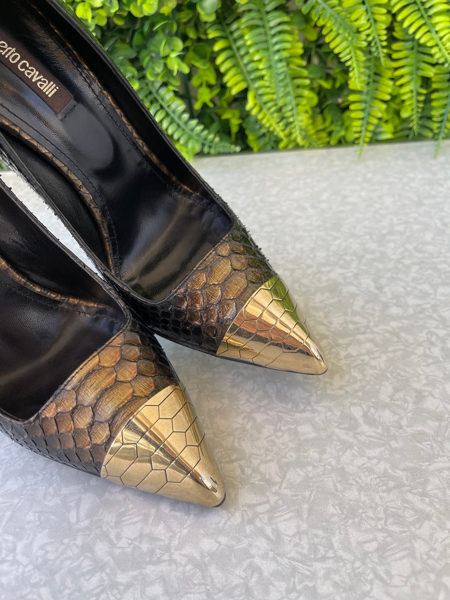 Sapato Scarpin Roberto Cavalli