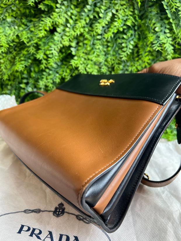 Prada Bicolor Crossbody