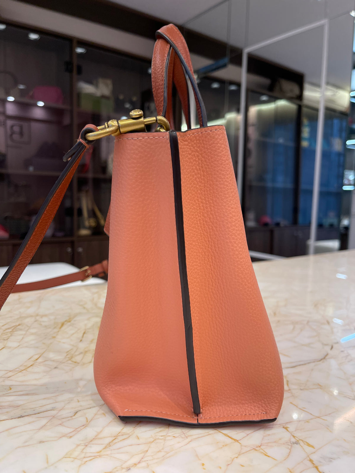 Coach Willow Tote 24