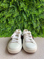 Tenis Gucci Ace Low GG Apple Patch