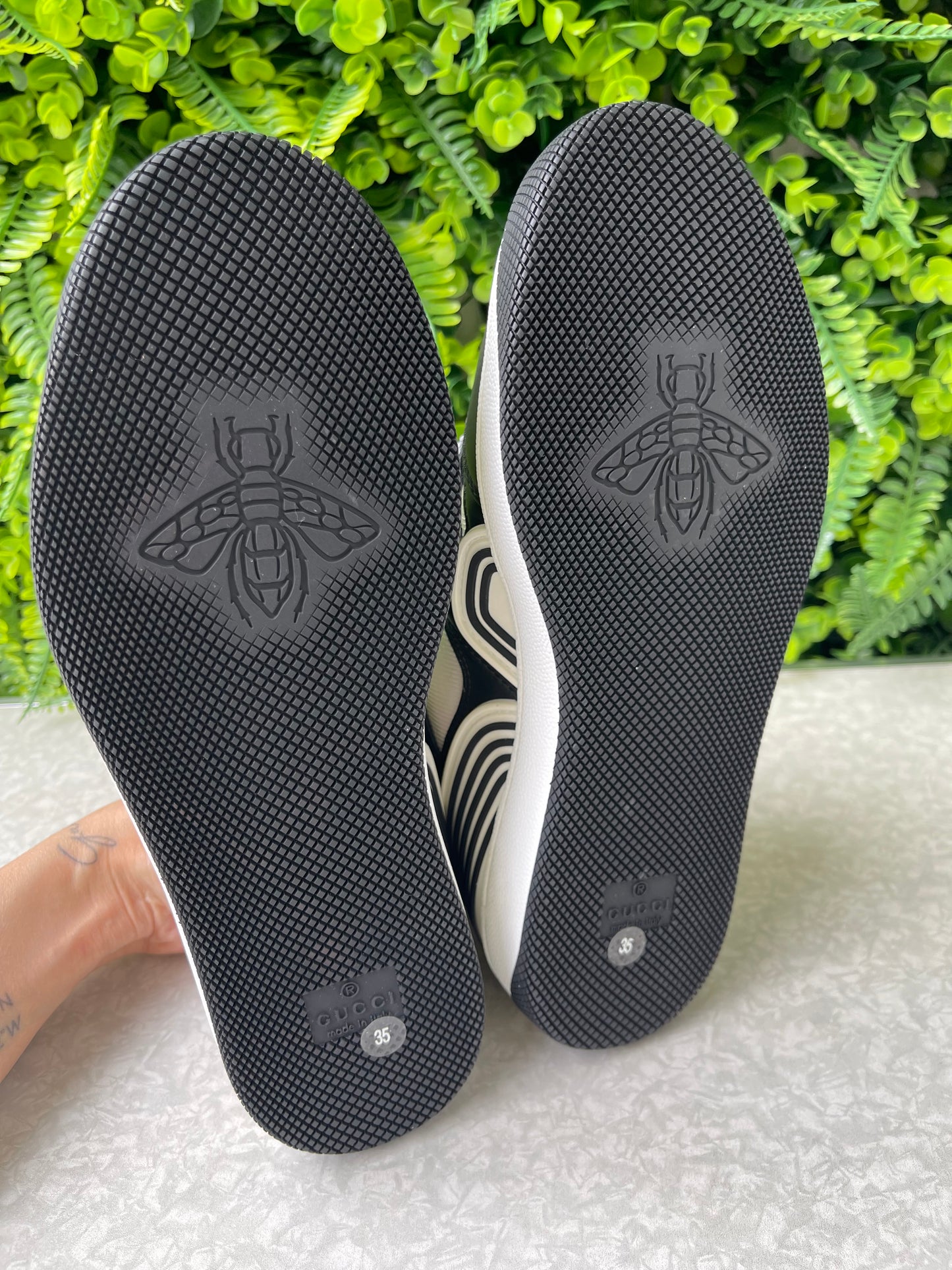 Tênis Gucci Basket Low Top