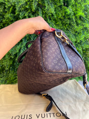 Louis Vuitton Speedy Bandouliere Mini Lin 30