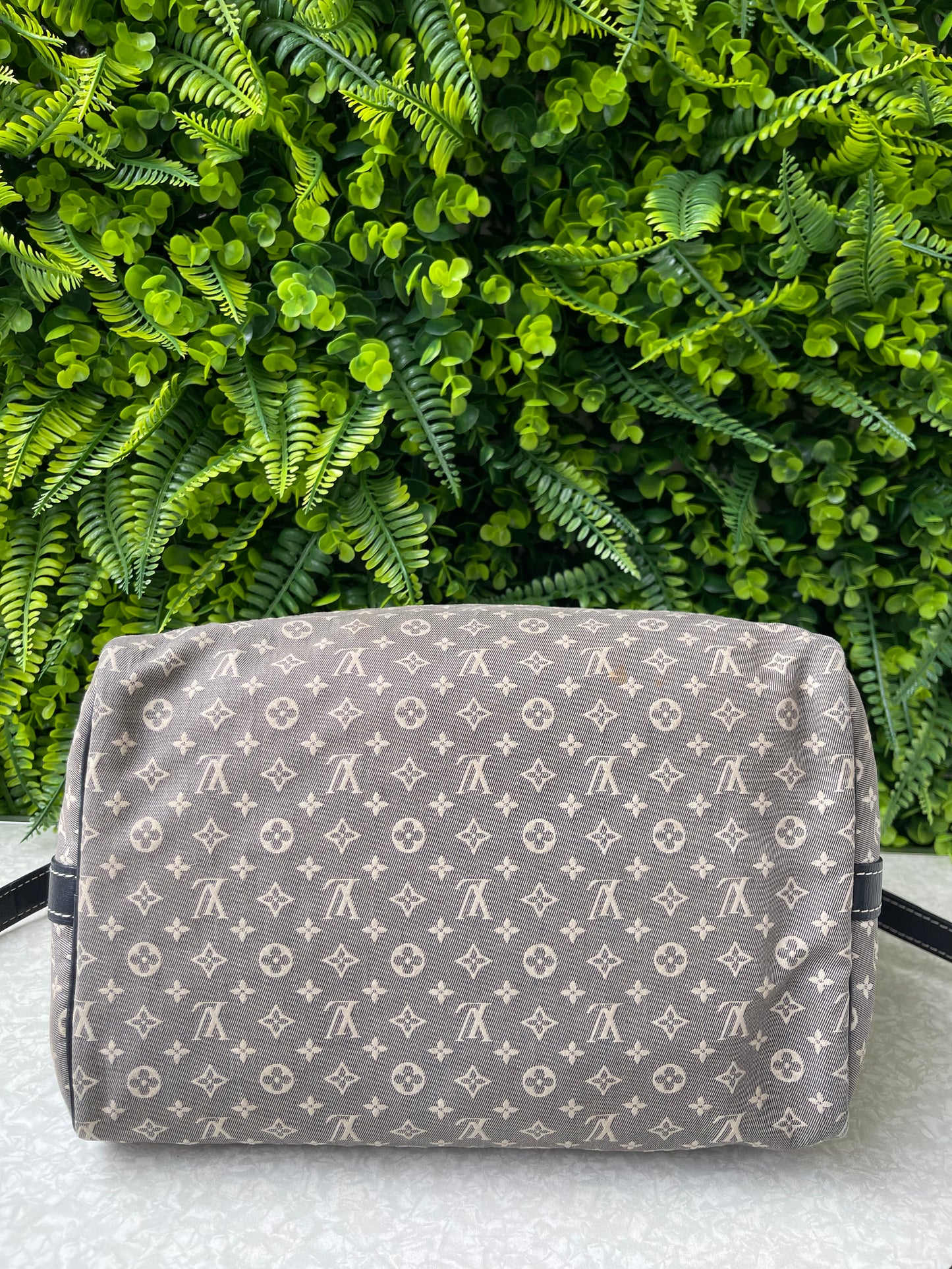 Louis Vuitton Speedy Bandouliere Mini Lin 30