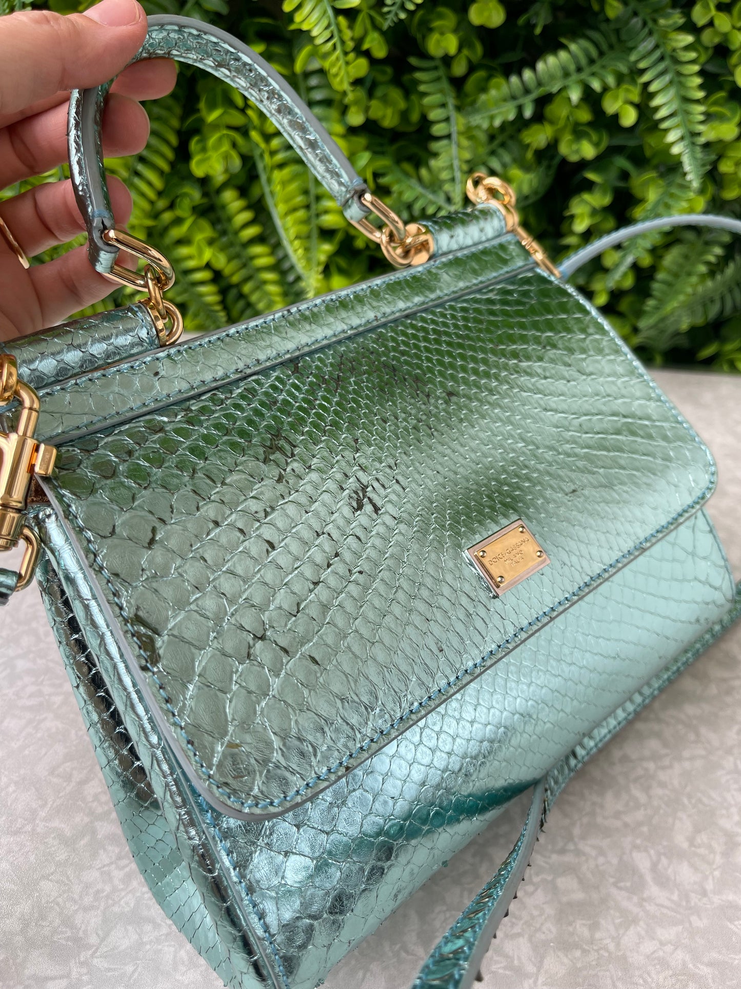 Dolce & Gabbana Miss Sicily Python Metallic