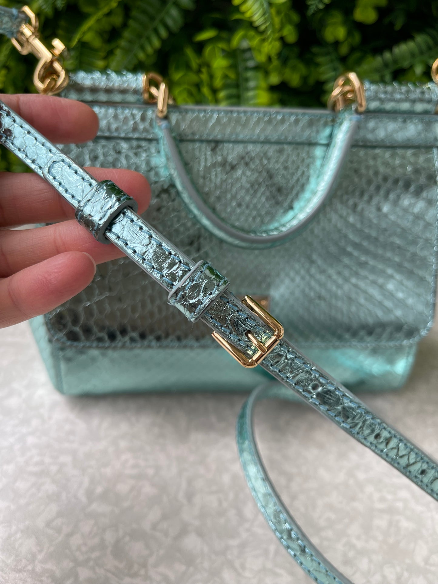 Dolce & Gabbana Miss Sicily Python Metallic