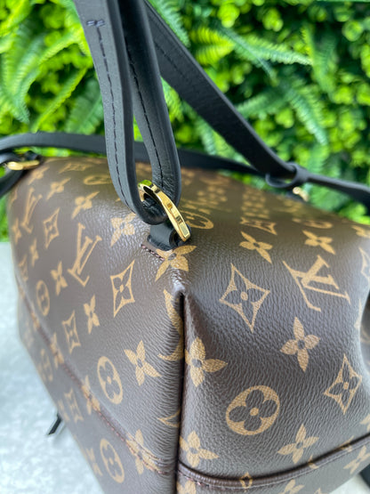 Mochila Louis Vuitton Montsouris NM Monogram