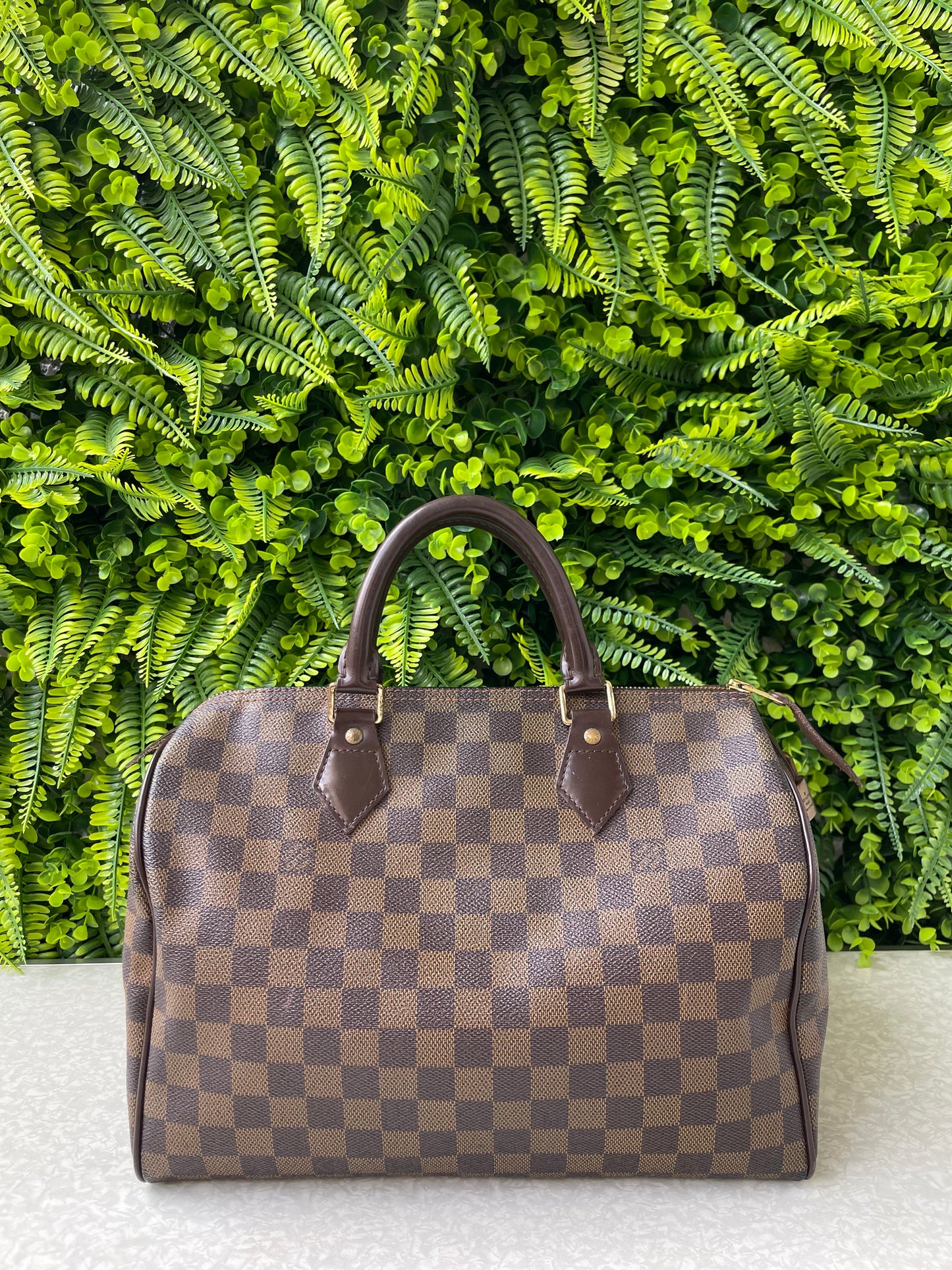 Louis Vuitton Speedy 30 Damier Ebene