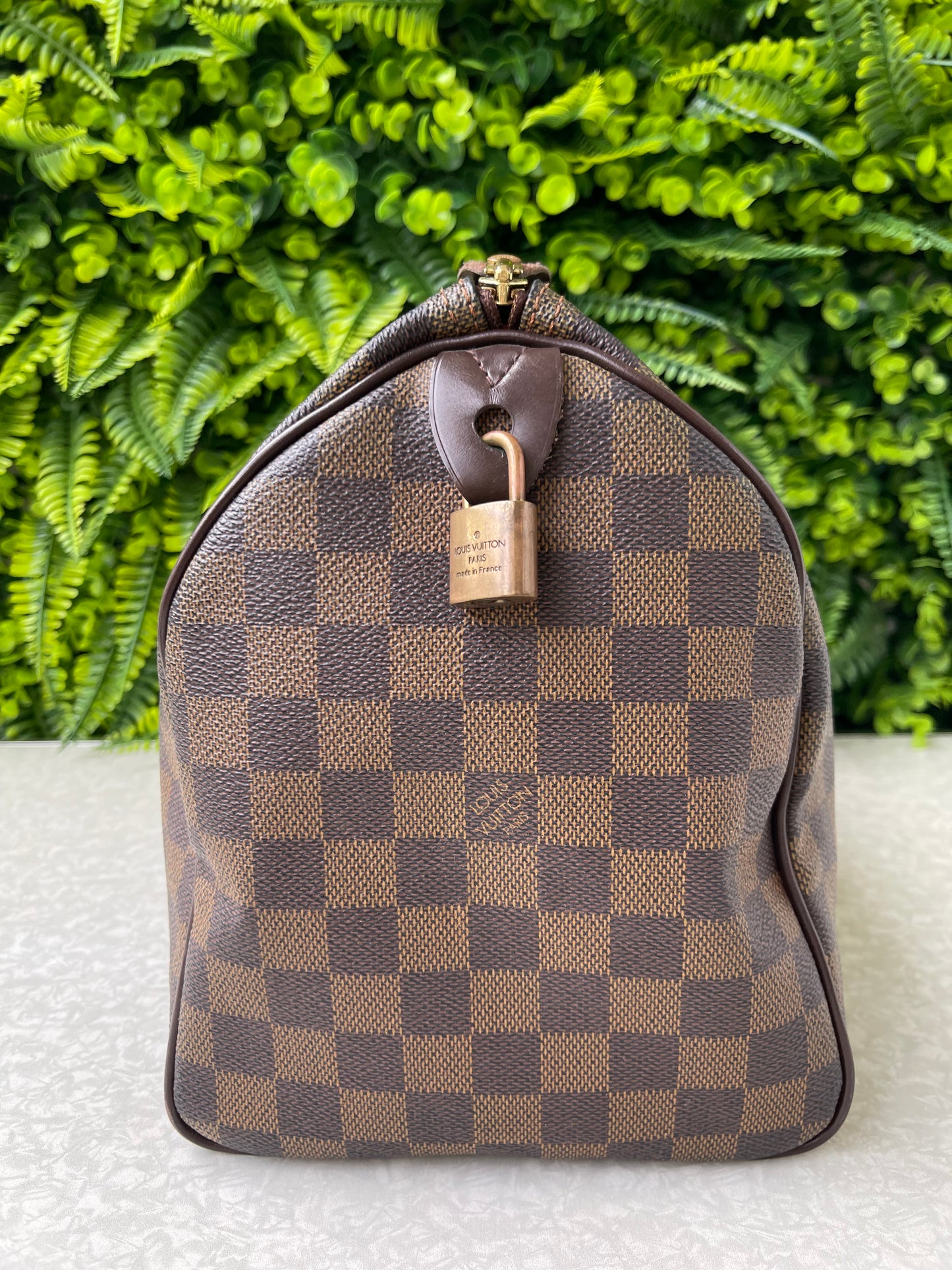 Louis Vuitton Speedy 30 Damier Ebene