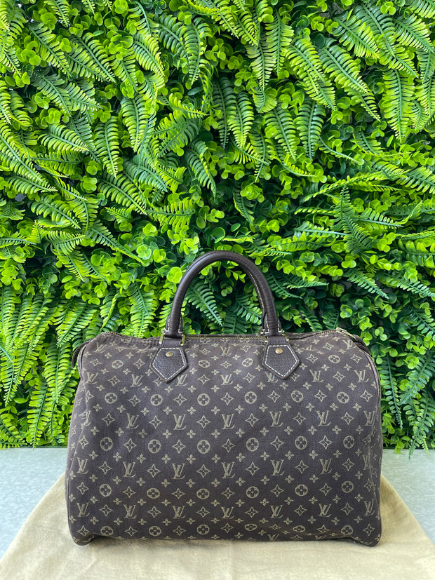 Louis Vuitton Speedy 30 Mini Lin