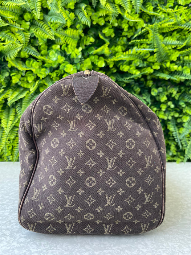 Louis Vuitton Speedy 30 Mini Lin