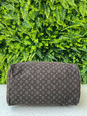 Louis Vuitton Speedy 30 Mini Lin