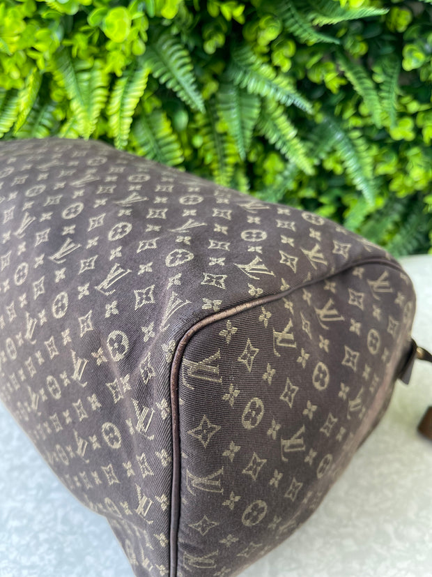 Louis Vuitton Speedy 30 Mini Lin