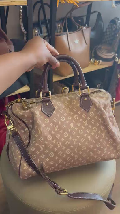 Louis Vuitton Speedy Bandouliere Mini Lin