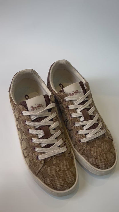 Tenis Coach Clip Low Top